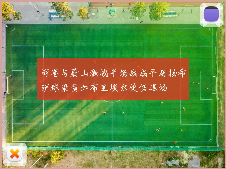 海港与蔚山激战半场战成平局杨希铲球染黄加布里埃尔受伤退场